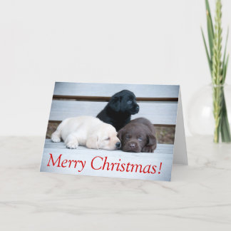 Karemy Puppy Christmas Card Feiertagskarte