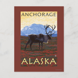 Karibik - Anchorage, Alaska Postkarte