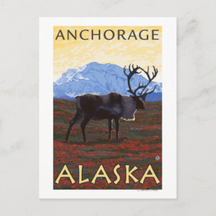 Karibik - Anchorage, Alaska Postkarte