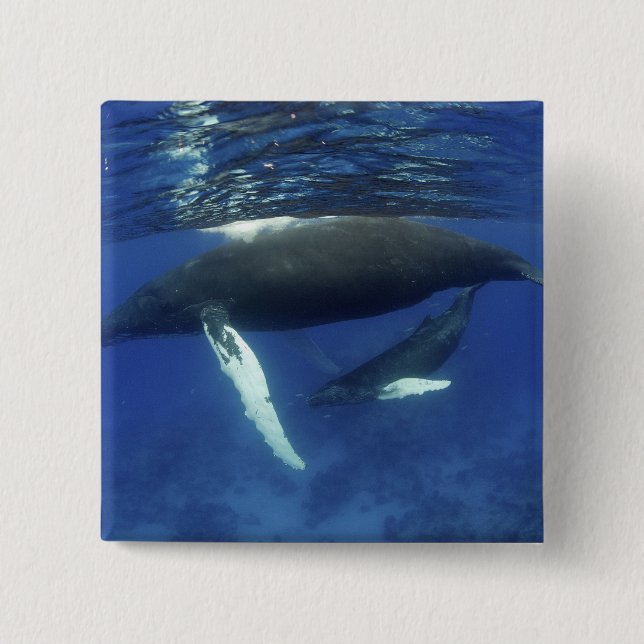 Karibik, Archipel der Großen Antillen, Button (Vorderseite)