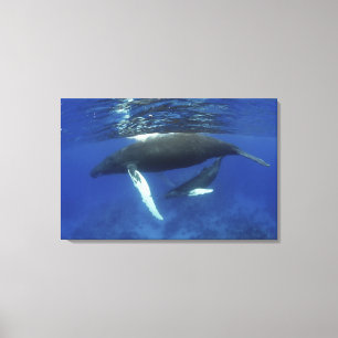 Karibik, Archipel der Großen Antillen, Leinwanddruck