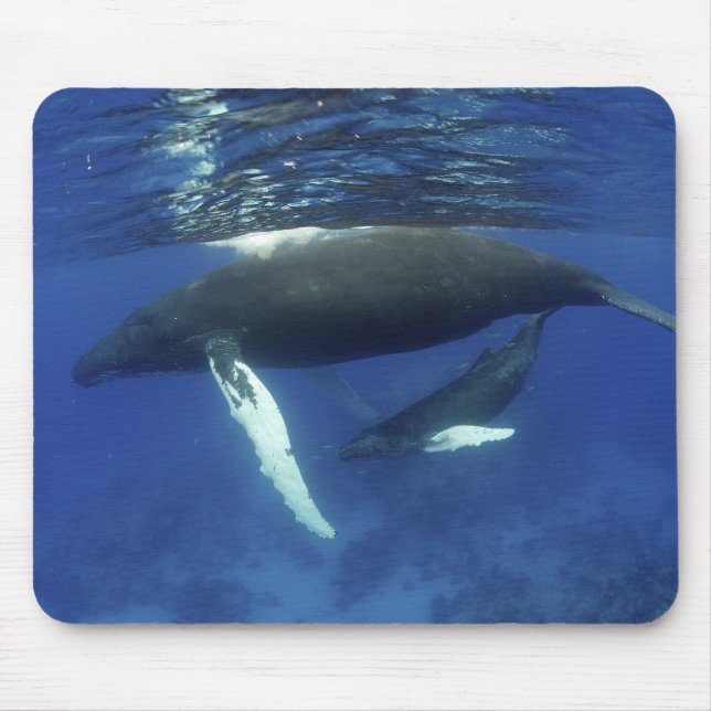 Karibik, Archipel der Großen Antillen, Mousepad (Vorne)