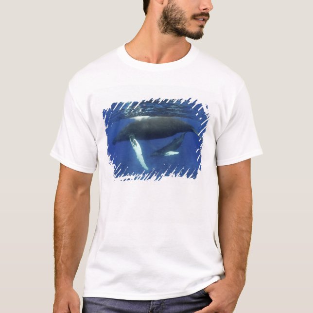 Karibik, Archipel der Großen Antillen, T-Shirt (Vorderseite)