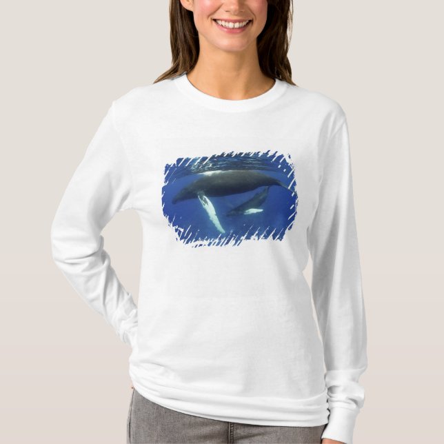 Karibik, Archipel der Großen Antillen, T-Shirt (Vorderseite)