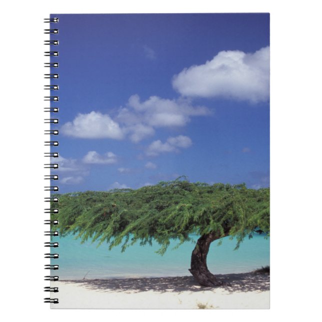 Karibik, Aruba. Adlerstrand Notizblock (Vorderseite)