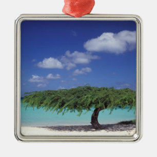 Karibik, Aruba. Adlerstrand Silbernes Ornament