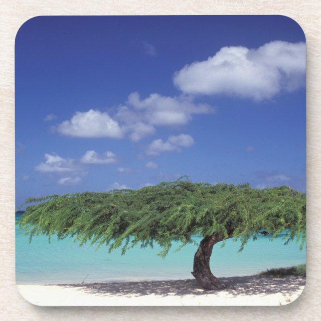 Karibik, Aruba. Adlerstrand Untersetzer (Vorderseite)