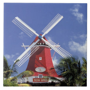 Karibik, Aruba. Alte Mühle, umgebaut in 'Mühle Fliese