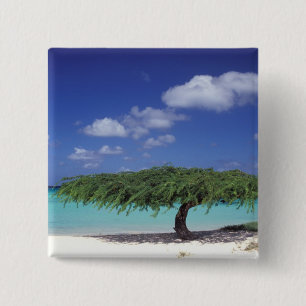 Karibik, Aruba. Eagle Beach Button
