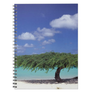 Karibik, Aruba. Eagle Beach Notizblock