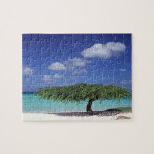 Karibik, Aruba. Eagle Beach Puzzle