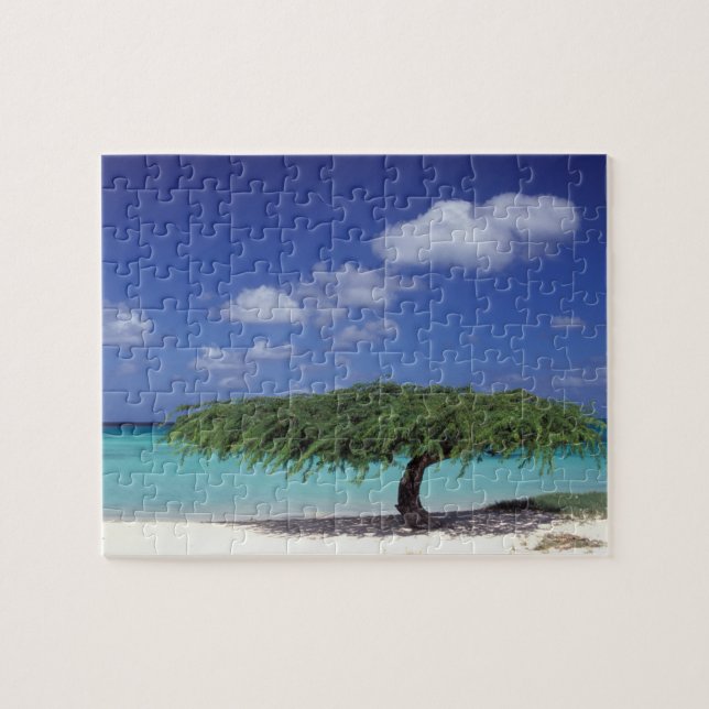 Karibik, Aruba. Eagle Beach Puzzle (Horizontal)