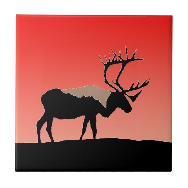 Karibik bei Sunset - Original Wildlife Art Fliese (Vorderseite)
