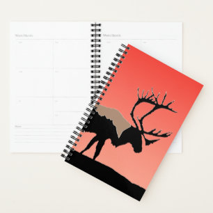 Karibik bei Sunset - Original Wildlife Art Planer