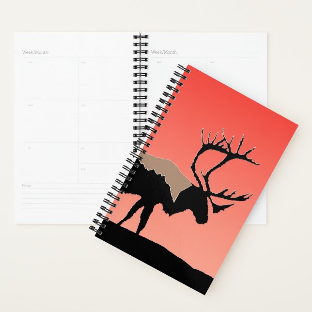Karibik bei Sunset - Original Wildlife Art Planer (Anzeige)