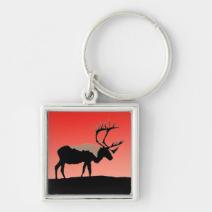 Karibik bei Sunset - Original Wildlife Art Schlüsselanhänger
