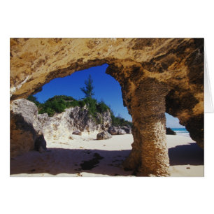 Karibik, Bermuda, Tucker's Town.Natur