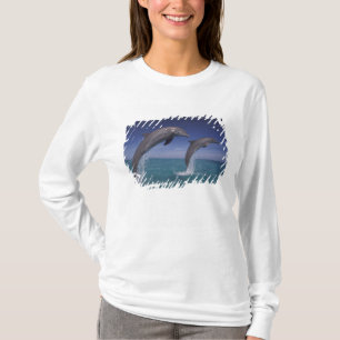Karibik, Bottlenose Delphine Tursiops T-Shirt