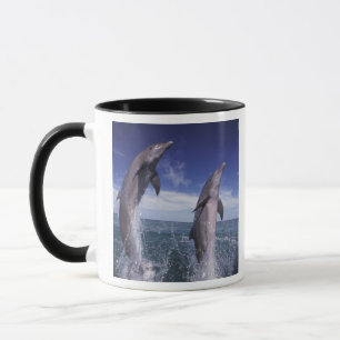 Karibik, Bottlenose Delphine Tursiops Tasse