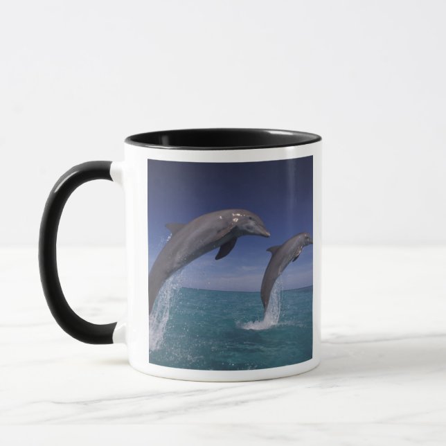 Karibik, Bottlenose Delphine Tursiops Tasse (Links)