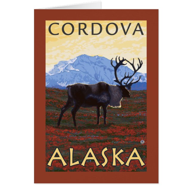 Karibik - Cordova, Alaska (Vorne)