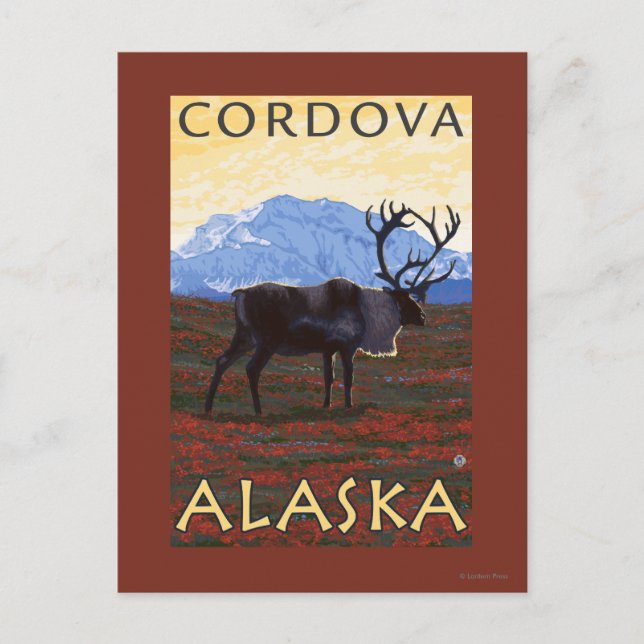 Karibik - Cordova, Alaska Postkarte (Vorderseite)