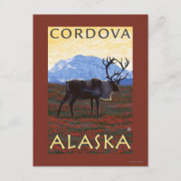 Karibik - Cordova, Alaska