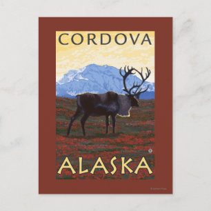 Karibik - Cordova, Alaska Postkarte