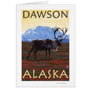 Karibik - Dawson, Alaska