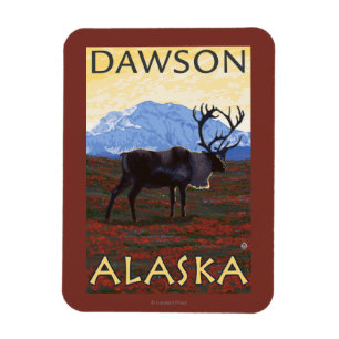 Karibik - Dawson, Alaska Magnet