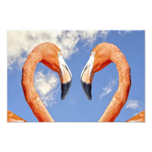 Karibik-Flamingo Liebesherz Fotodruck