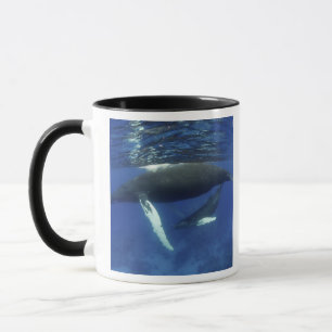 Karibik, Greater Antilles-Archipel, Tasse