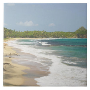 Karibik, GRENADA, Ostküste, Grenada Bay, Fliese