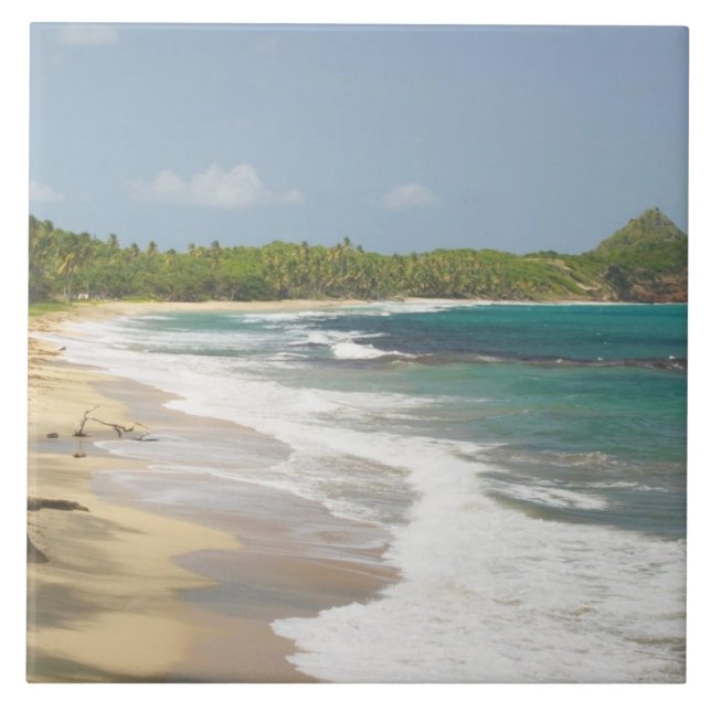 Karibik, GRENADA, Ostküste, Grenada Bay, Fliese (Vorderseite)