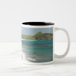 Karibik, GRENADA, Ostküste, Grenada Bay, Zweifarbige Tasse