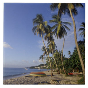 KARIBIK, Grenada, St. George, Boote auf Palmen Fliese
