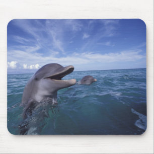 Karibik, Großer Tümmler Mousepad