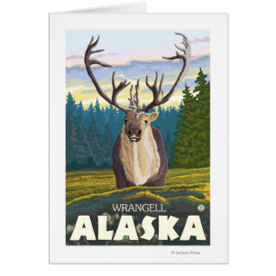 Karibik im Wald - Wrangell, Alaska