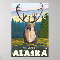 Karibik im Wald - Wrangell, Alaska
