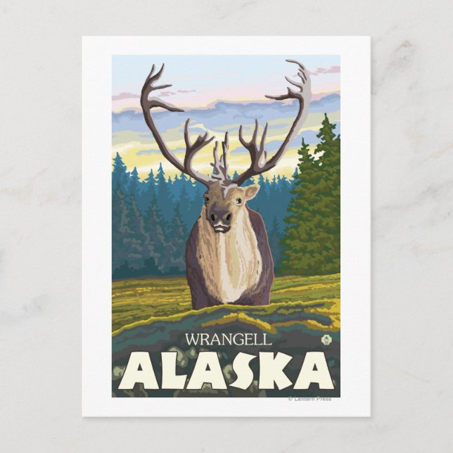 Karibik im Wald - Wrangell, Alaska Postkarte (Vorderseite)