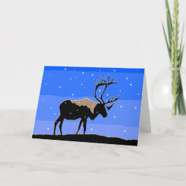 Karibik im Winter - Original Wildlife Art Feiertagskarte