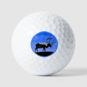 Karibik im Winter - Original Wildlife Art Golfball