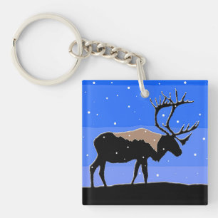 Karibik im Winter - Original Wildlife Art Schlüsselanhänger