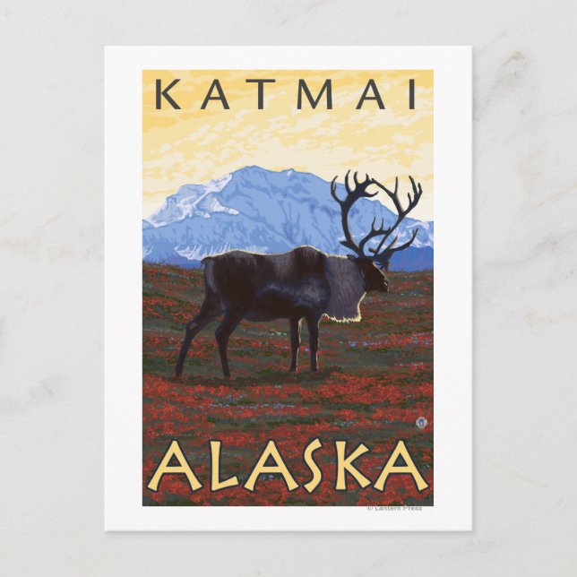 Karibik - Katmai, Alaska Postkarte (Vorderseite)