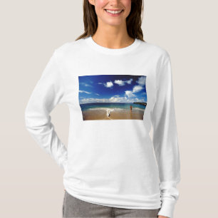 Karibik, Kleine Antillen, Westindische Inseln, 2 T-Shirt