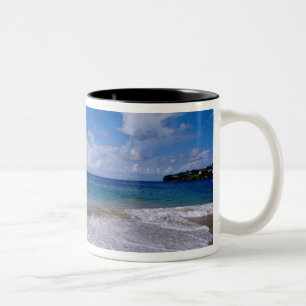 Karibik, Kleine Antillen, Westindische Inseln, 4 Zweifarbige Tasse
