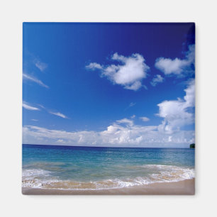 Karibik, Kleinere Antillen, Westindien, Magnet