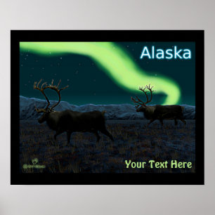 Karibik - Langer März Poster