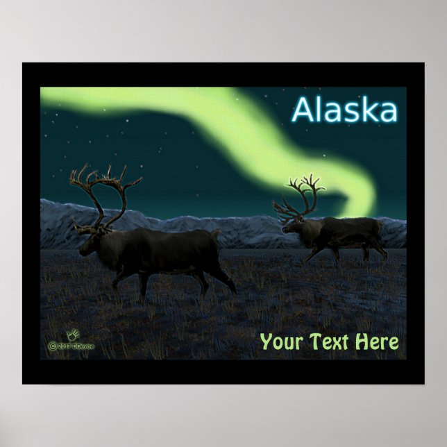 Karibik - Langer März Poster (Vorne)