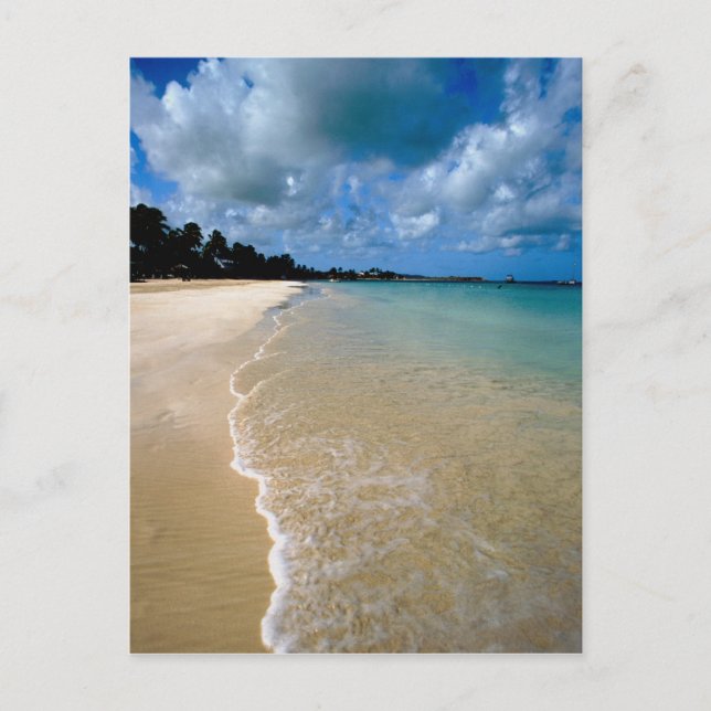 Karibik, Leeward Islands, Antigua, Dickenson Postkarte (Vorderseite)